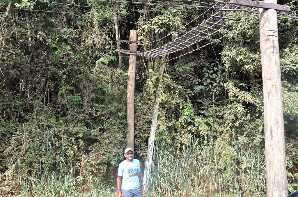 Plenário aprova em 1ª discussão projeto que obriga instalação de ecodutos em estradas e rodovias