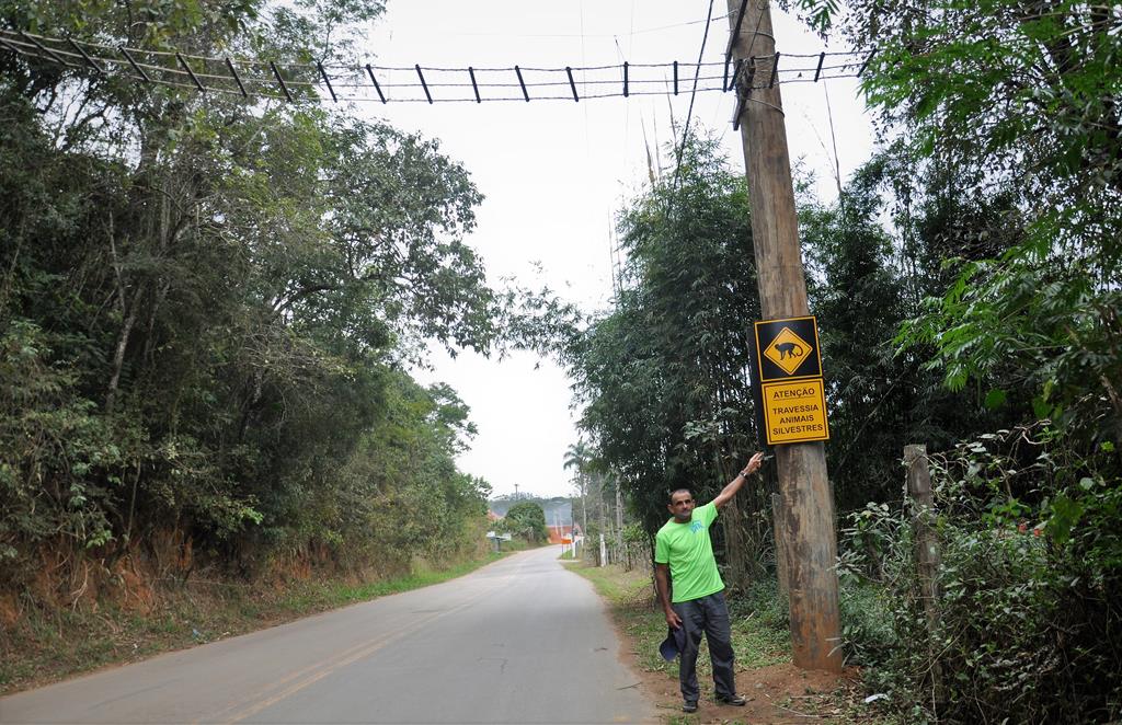Agora é Lei: ecodutos serão obrigatórios em pontos de travessia de animais
