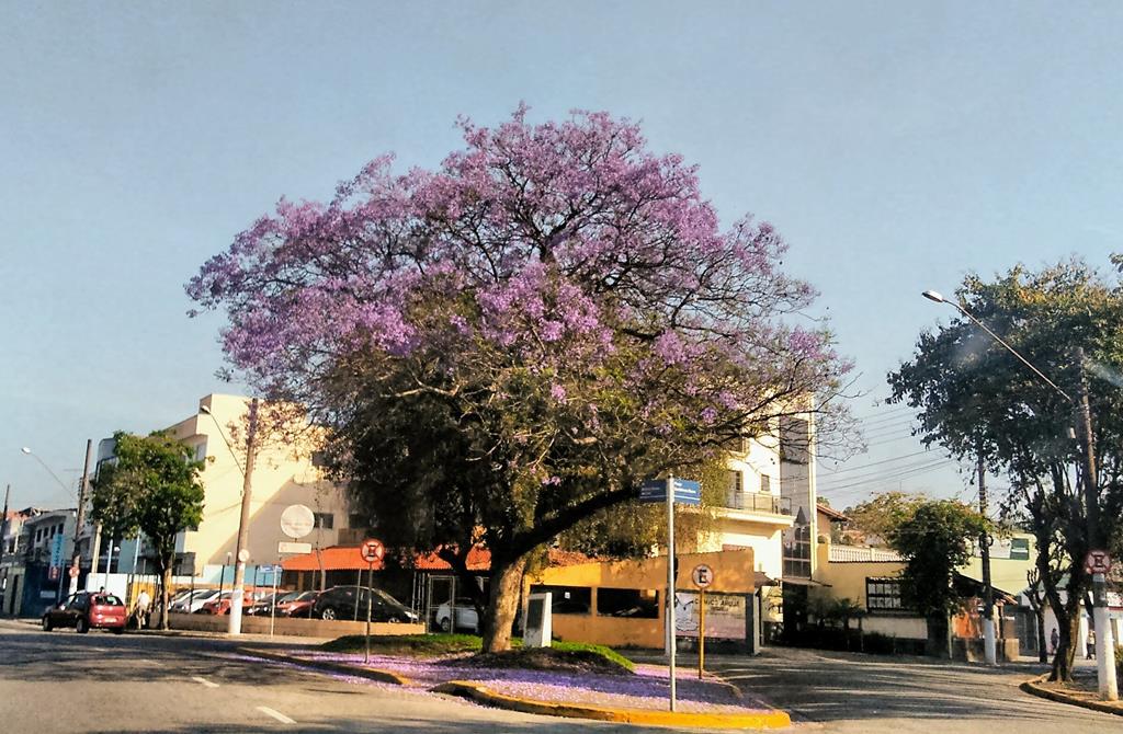 Manutenção da iluminação pública é responsabilidade da Elektro, confirma órgão federal