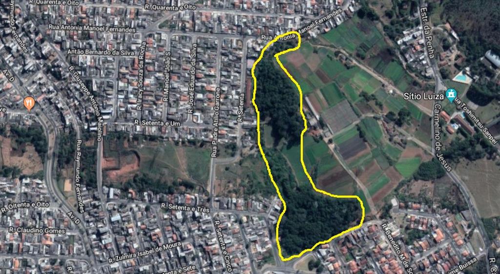 Vereadores querem tornar pública área verde na região do Barreto