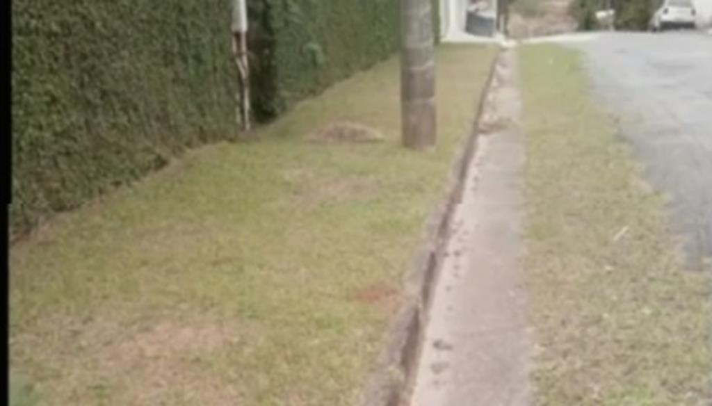 Ana Poli critica notificações para adequação de calçadas emitidas pela Prefeitura