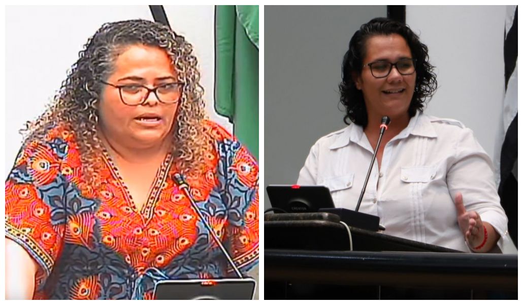 À CEI do CMDCA, conselheiras tutelares apontam falta de transparência em processo seletivo (Oitivas: Parte 2)